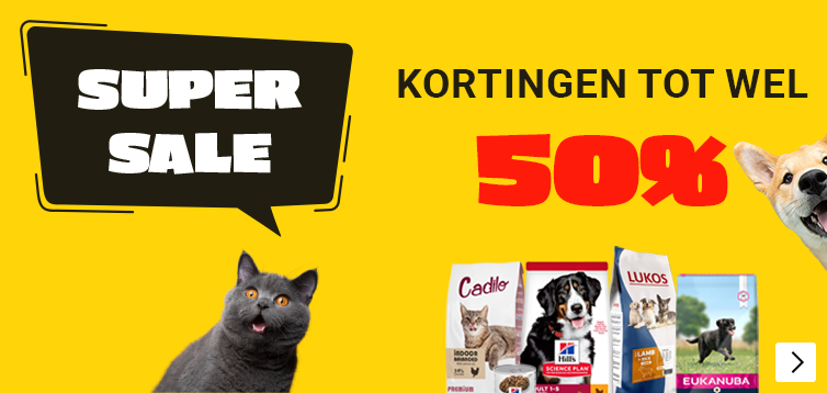 Super Sale HP BE
